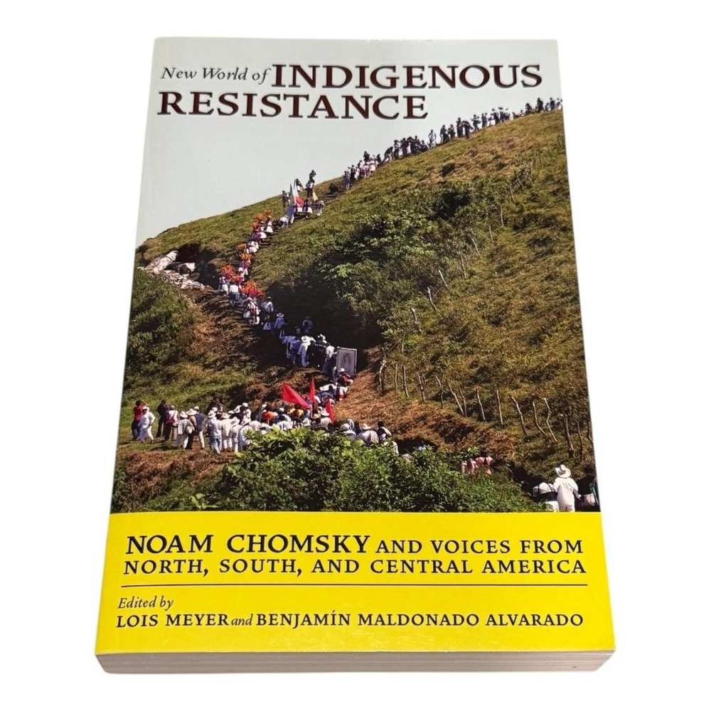 New World Of Indigenous Resistance Noam Chomsky Paperback Book 2010 City Lights